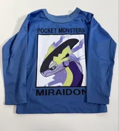 Item thumbnail for item f8e6d8f8-da41-4caf-96cf-fbc655a2e25b