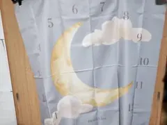 Item thumbnail for item 26a19efd-0865-47a8-b2e4-b166850676c6