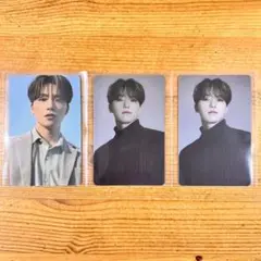 SEVENTEEN INCOMPLETE オンコン トレカ ディノ 3枚 ①