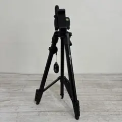 Item thumbnail for item 1737a470-6104-48db-a748-92b9fce34ed8