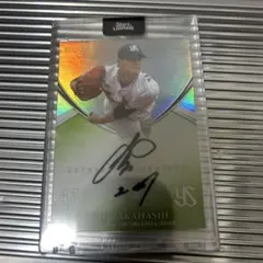 Item thumbnail for item 78e596e3-9ff9-4e30-bb4a-3c2f860c0c01