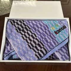 Item thumbnail for item a75edb16-4b30-417a-88da-e4c27c1f50fd