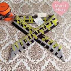 ❤未使用品❤ツイリー フォーブル24 銀座店10周年記念限定品 エルメス