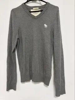 Abercrombie & Fitch Vネックニット グレー Lのサムネイル