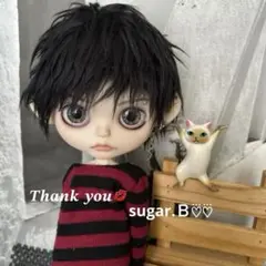 アイシードールカスタム♠男の子♠ブラック