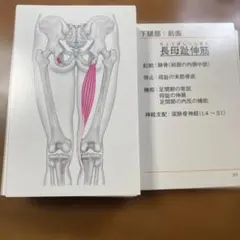 Item thumbnail for item 22e12461-5366-4a89-bfe9-fec77dba07d1