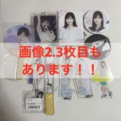 Item thumbnail for item 226d39bb-ad0c-44e1-b2aa-6b8871cf097f