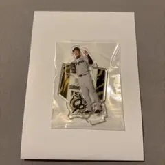 阪神タイガース　岩崎優　アクリルスタンド　アクスタくじ