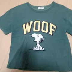 Ｔシャツ　140cm