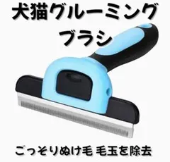 Item thumbnail for item 731c356f-16ee-4f0a-9a1b-b75ebfac96f7