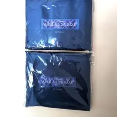 ディズニーアンバサダーホテル　エコバッグ 2個セット