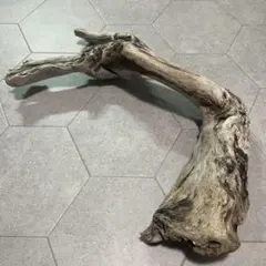 流木 アクアリウム 爬虫類 レイアウト素材 約46cm