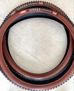 IRC TANKEN GEKKOTA TLR 29x2.6 2本セットのサムネイル