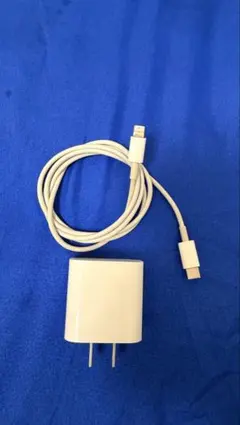 USB-C充電器とLightningケーブルセット