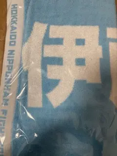 伊藤大海投手　ユニフォーム　タオル 即日発送】レプリカユニフォーム ビジター＆選手直筆応援タオルセット