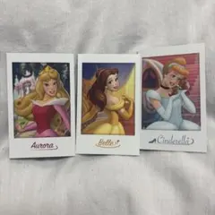 ディズニー プリンセス キャラポトレ オーロラ ベル シンデレラ