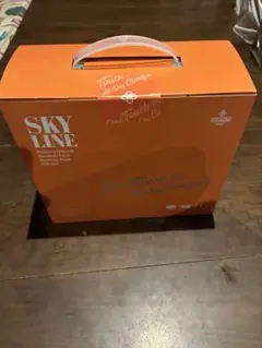 SKYLINEライフケアシート生理用ナプキンセットolylife - メルカリ