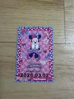 リゾートライン フリーきっぷ ミニー①