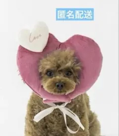 スリーコインズ　顔ハメハート　バレンタイン　スリコ　3coins