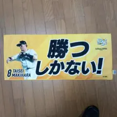 Item thumbnail for item 3228651a-041f-431b-9fbe-6f3037d0098b