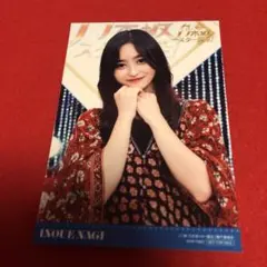 乃木坂46 井上和 新乃木坂スター誕生 第2巻 生写真