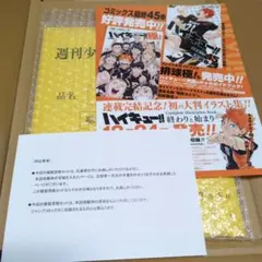 3/4削除【美品】ハイキュー!! 完結記念応募者全員サービス 最終話複製原画