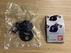 【NEWERA 59FIFTY®MLB】ミニチュア タンパベイ・レイズ