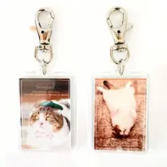 Item thumbnail for item 55ec3c1c-b068-4934-838c-35ab075b581f