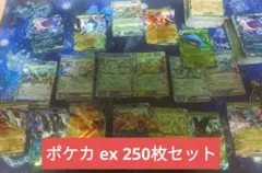 ポケカ rr ex 250枚 セット