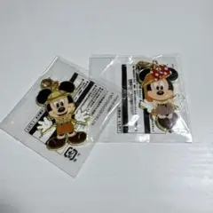 新品　東京ディズニーランド ミッキー・ミニー キーホルダーセット