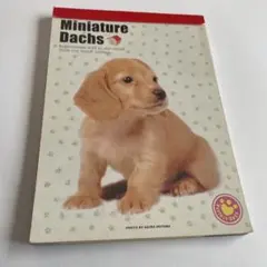 【当時物】平成レトロ メモ帳 ダックスフンド　犬　カミオジャパン