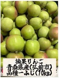 青森県弘前市産 摘果りんご ふじ 10kgのサムネイル