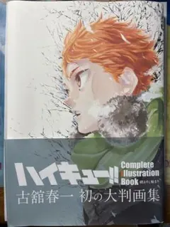 ハイキュー!! Complete Illustration Book