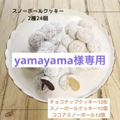 yamayama 様専用☆クッキー3種36個セット