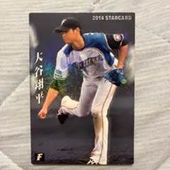 2017年プロ野球チップス 侍ジャパン 大谷翔平・鈴木誠也(金箔付き) 2017年プロ野球チップス 侍ジャパン 大谷翔平・鈴木誠也(金箔
