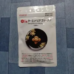 ターミナリアファーストプロフェッショナル4(120粒)30回分新品未開封