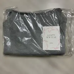 新品SNIDEL2025福袋　オフショルダー スウェット グレー