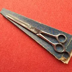 Item thumbnail for item f1dbc7a1-9fdd-411e-8d5e-273f6682209d