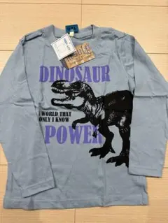 恐竜Tシャツ2点 まとめ商品