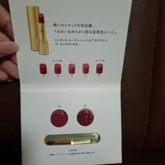 Elegance Rouge Semi Matte 口紅セット