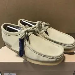 Item thumbnail for item 1cb78c86-a430-45f1-8b5e-e162dd872887