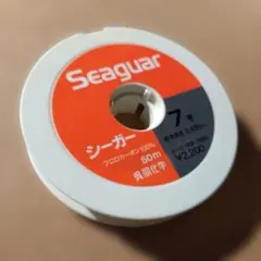 Item thumbnail for item ddfb7ba9-f0e9-40e5-9998-bb555c5b3743