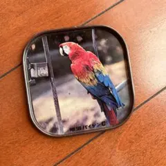 昭和レトロ　明治乳業　明治パイゲンC ブリキ　お盆　プレート　オウム　インコ