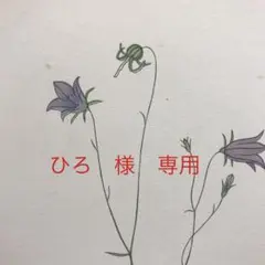 専用ページです。