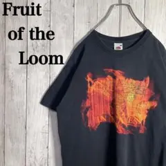 【激レア】フルーツオブザルーム　ビックプリント　Tシャツ オーバーサイズ　古着