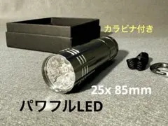 Item thumbnail for item 1515efb6-7daf-4bce-bc14-75f4dd52d4fd