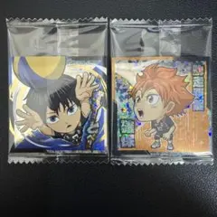 にふぉるめーしょん 劇場版ハイキュー!! ゴミ捨て場の決戦 日向翔陽 影山鳶尾