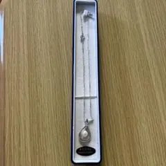 Item thumbnail for item 1a550dd7-f203-4ea1-b13f-fde1dedda9e4