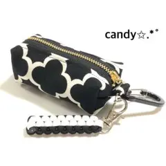 ゴルフボールケース ミニティーホルダー付き✩.*˚モロッカン(ブラック)