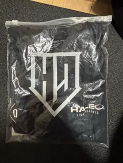 ハレオtシャツ　長渕着のサムネイル